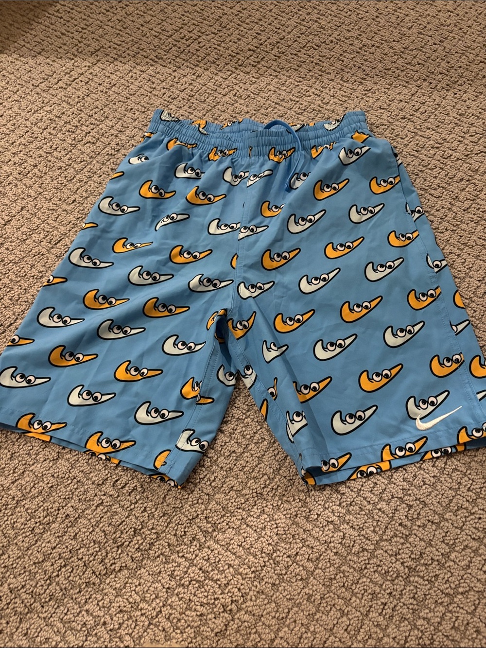 Boys Nike bathing suit. Never worn